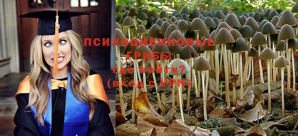 прущая мука Баксан