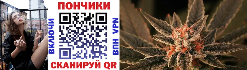 где купить   Бирюч  Канабис гибрид 